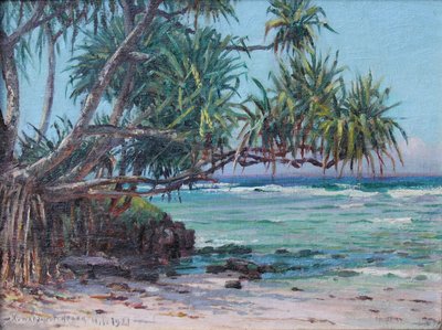 Lauhala au bord de la mer - D. Howard Hitchcock